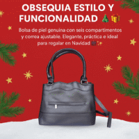 Bolsa Dama Piel 1507 Negra